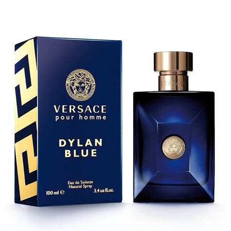 versace dylan collection|versace dylan blue 3.4 oz.